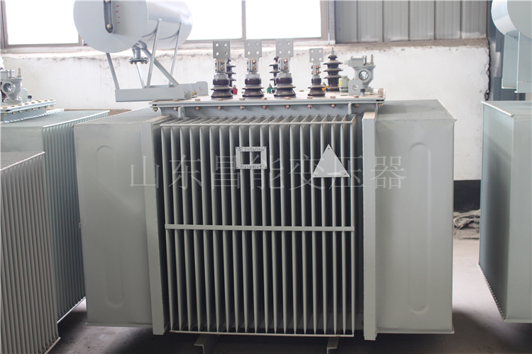 陇南S20-2000KVA变压器